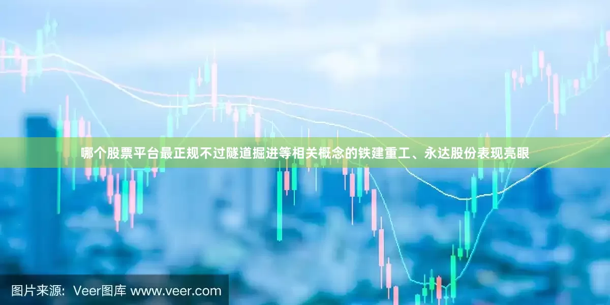 哪个股票平台最正规不过隧道掘进等相关概念的铁建重工、永达股份表现亮眼