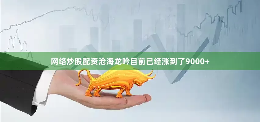 网络炒股配资沧海龙吟目前已经涨到了9000+