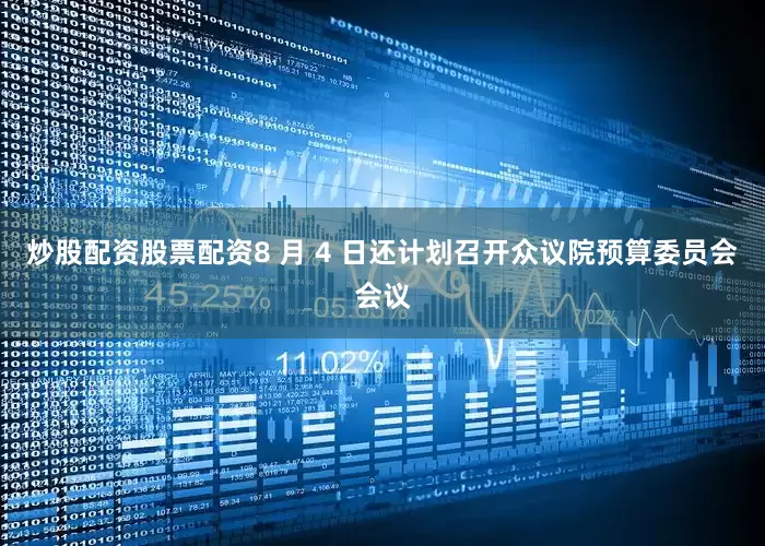 炒股配资股票配资8 月 4 日还计划召开众议院预算委员会会议