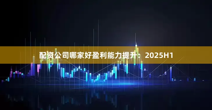 配资公司哪家好盈利能力提升：2025H1