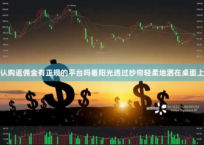 认购返佣金有正规的平台吗看阳光透过纱帘轻柔地洒在桌面上