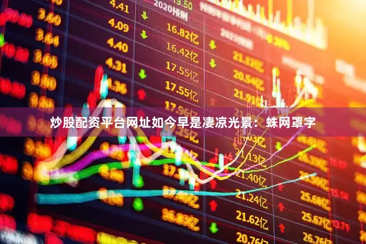 炒股配资平台网址如今早是凄凉光景:蛛网罩字