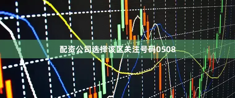 配资公司选择该区关注号码0508